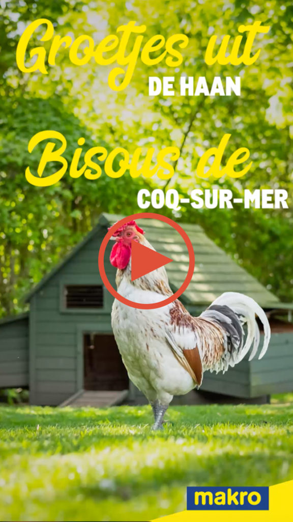 Video coqsurmer