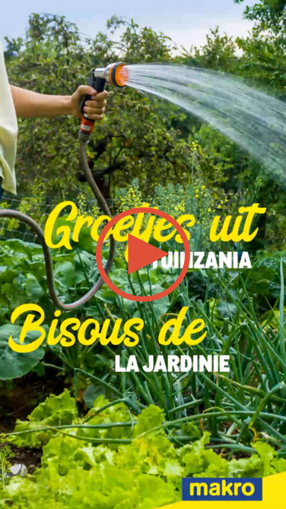 Video tuinzanie